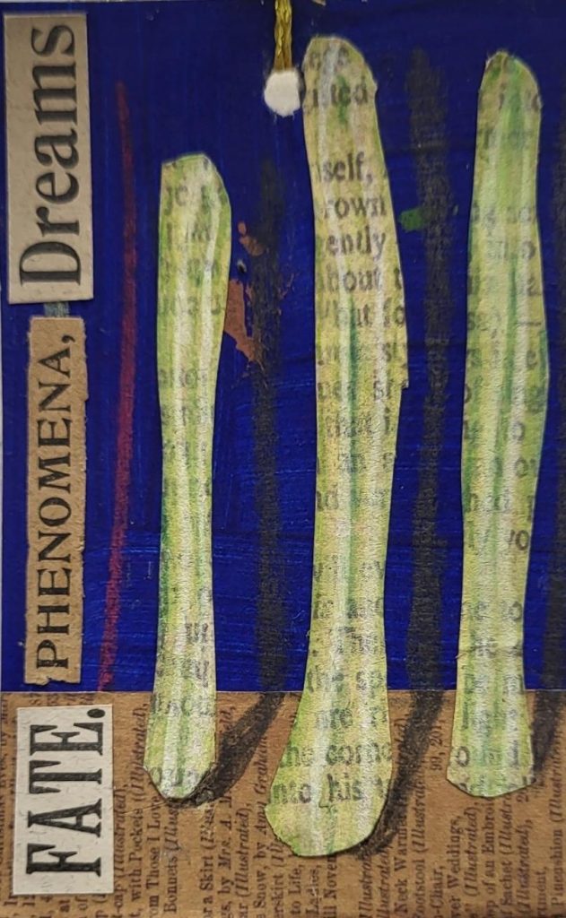 A bright royal blue background (the colour of Frida Kahlo's house) sits behined three collaged giant cactuses which are formed from a page from a book and the text is visible under the green and white details on each cactus. To the left of the cactuses are the words, cut out of magazines and they state "Fate", "Phenomena" and "Dreams"